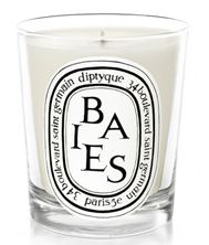 Diptyque Baies Candle
