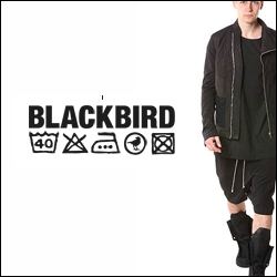 Blackbird