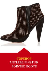 ANTLER2 Pinstud Pointed Boots
