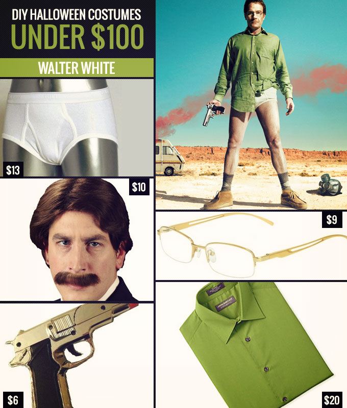 DIY Costumes Under $100 Walter White
