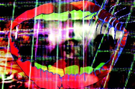 Animal Collective