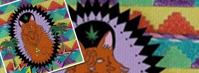King Of The Beach By Wavves