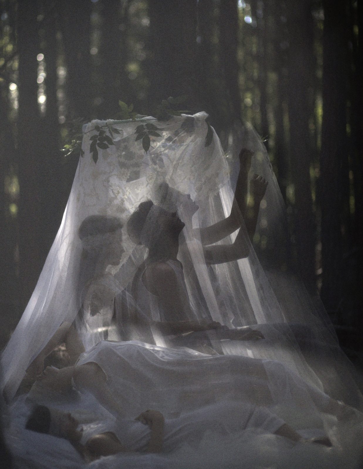 Model in a white lace gown sits beneath a sheer white canopy in a dark pine forest