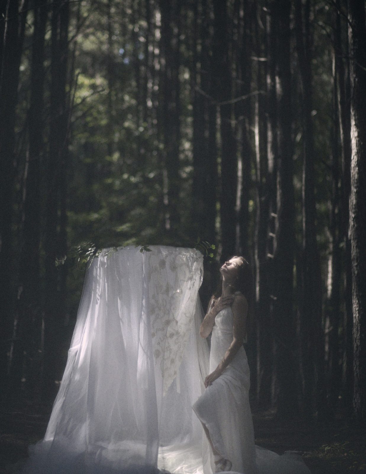 A white canopy stands alone between tall pines as the model peers out from behind it