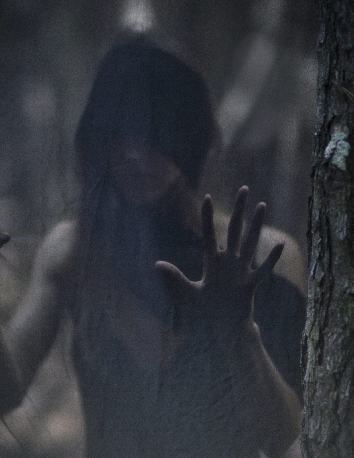 Blurred figure in black behind a sheer veil reaches a hand toward the camera beside a tree trunk